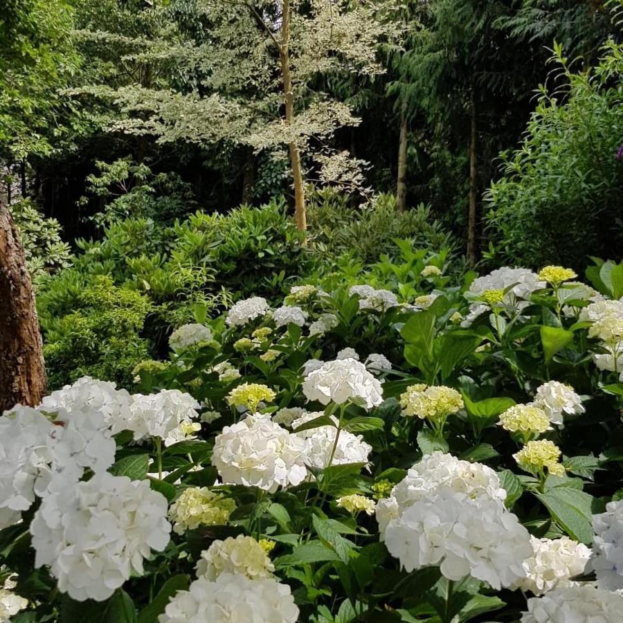 Willa Ribblesdale Gardens Barn Oxford Zewnętrze zdjęcie